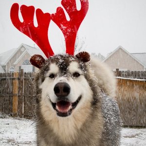 Fundraising Page: Kim Pernicka